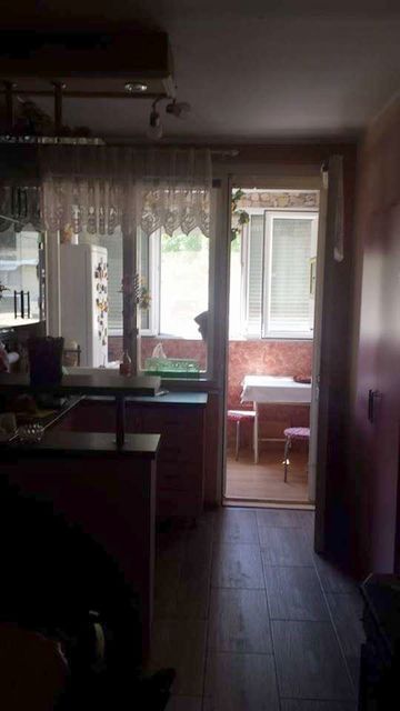 Rasadnik 1, Bela Crkva - 5