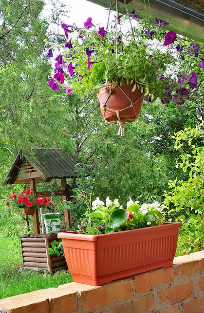 Vršačka bb-1, Veliko Središte - 3