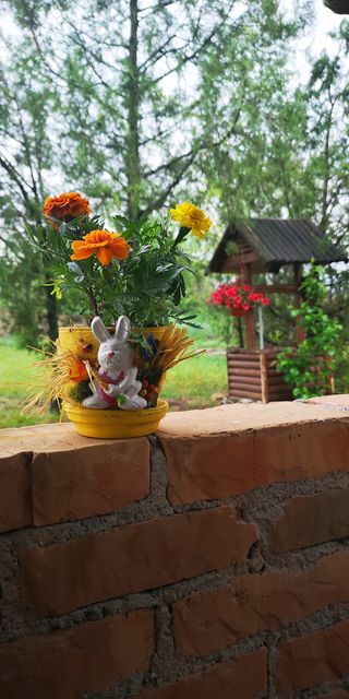 Vršačka bb-1, Veliko Središte - 9