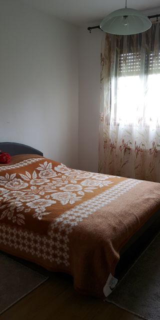 Vršačka bb-1, Veliko Središte - 7