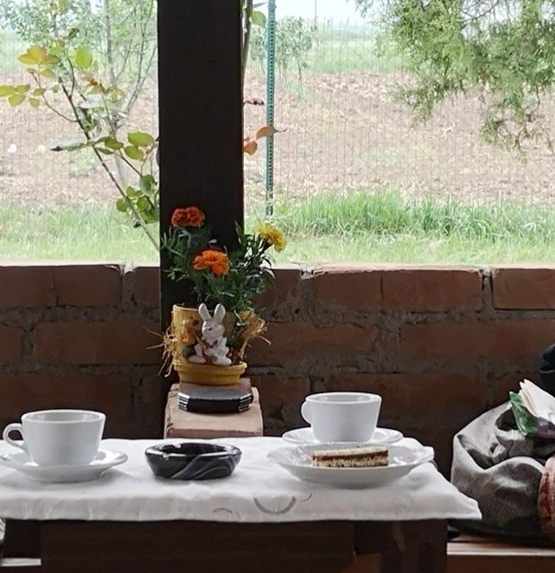 Vršačka bb-1, Veliko Središte - 10