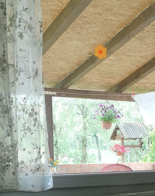 Vršačka bb-1, Veliko Središte - 5