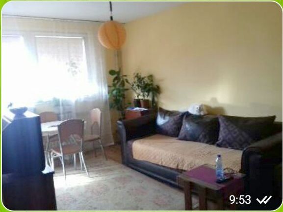 Starog Vujadina 69, Zaječar - 1