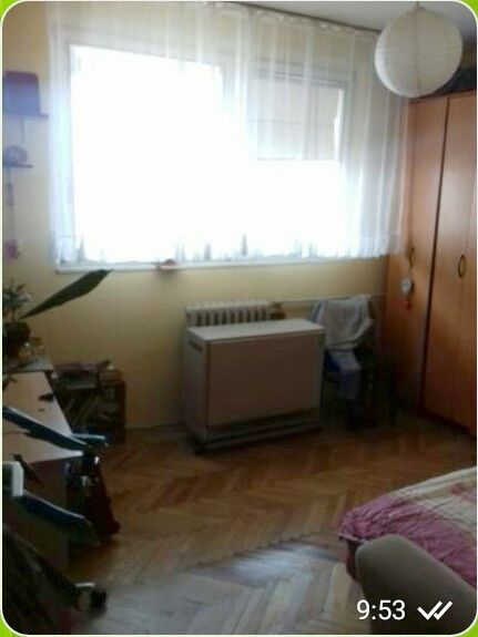 Starog Vujadina 69, Zaječar - 4