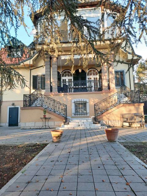 Puškinova 7, Beograd - 19