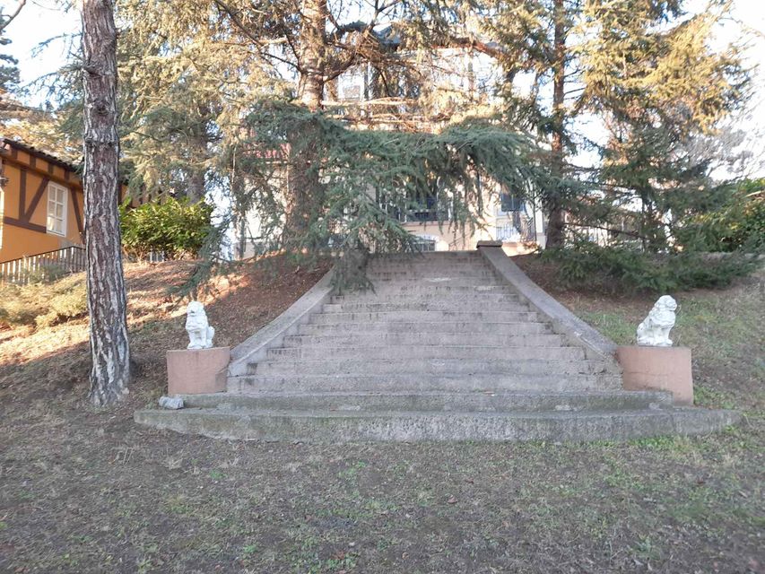 Puškinova 7, Beograd - 14