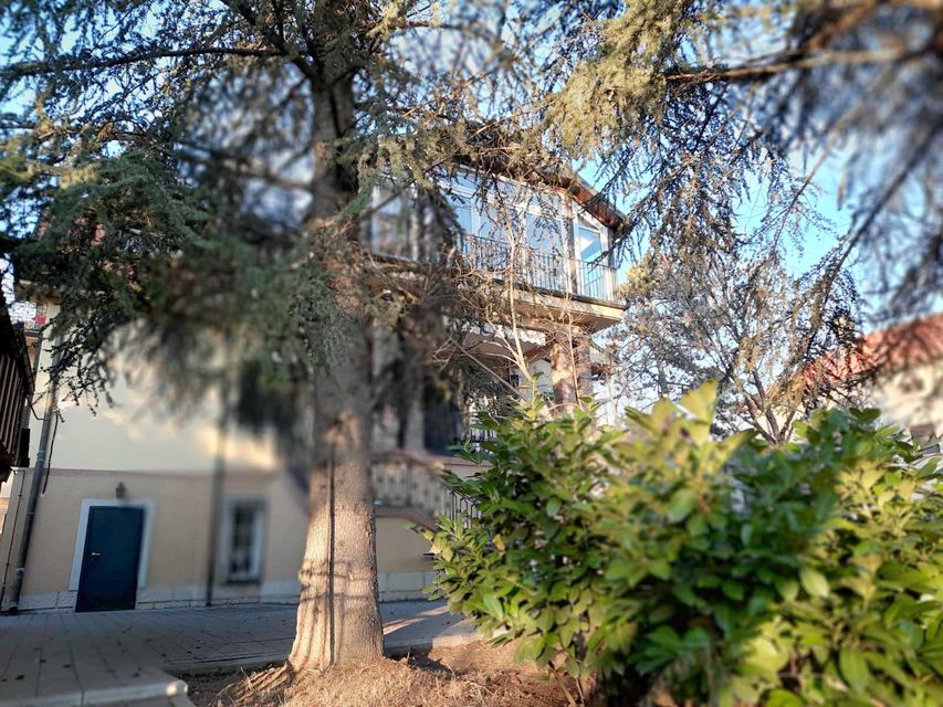 Puškinova 7, Beograd - 15