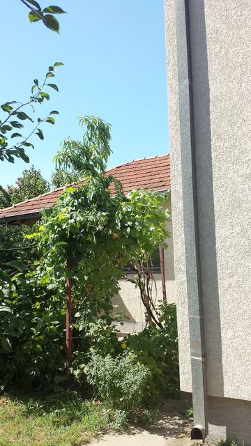 Milana Rakića 44, Kruševac - 8