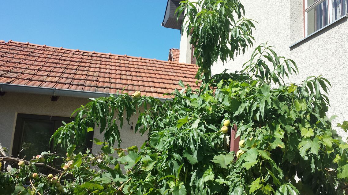 Milana Rakića 44, Kruševac - 6