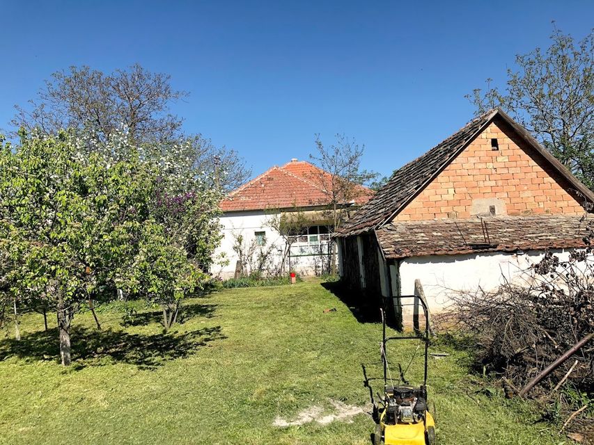 Svetog Save 183, Srpski Krstur - 4