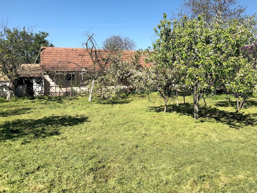 Svetog Save 183, Srpski Krstur - 3