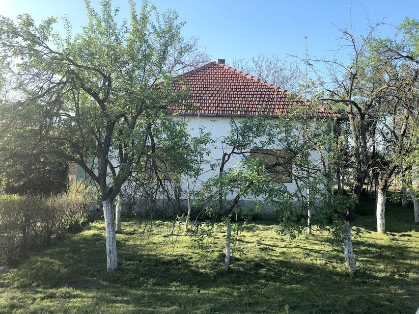 Svetog Save 183, Srpski Krstur - 1