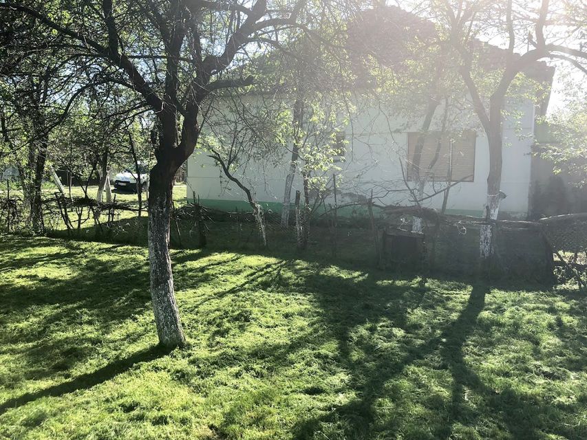 Svetog Save 183, Srpski Krstur - 2