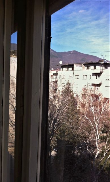 Oca Justina Popovića 13, Vranje - 5