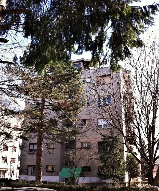 Oca Justina Popovića 13, Vranje - 2