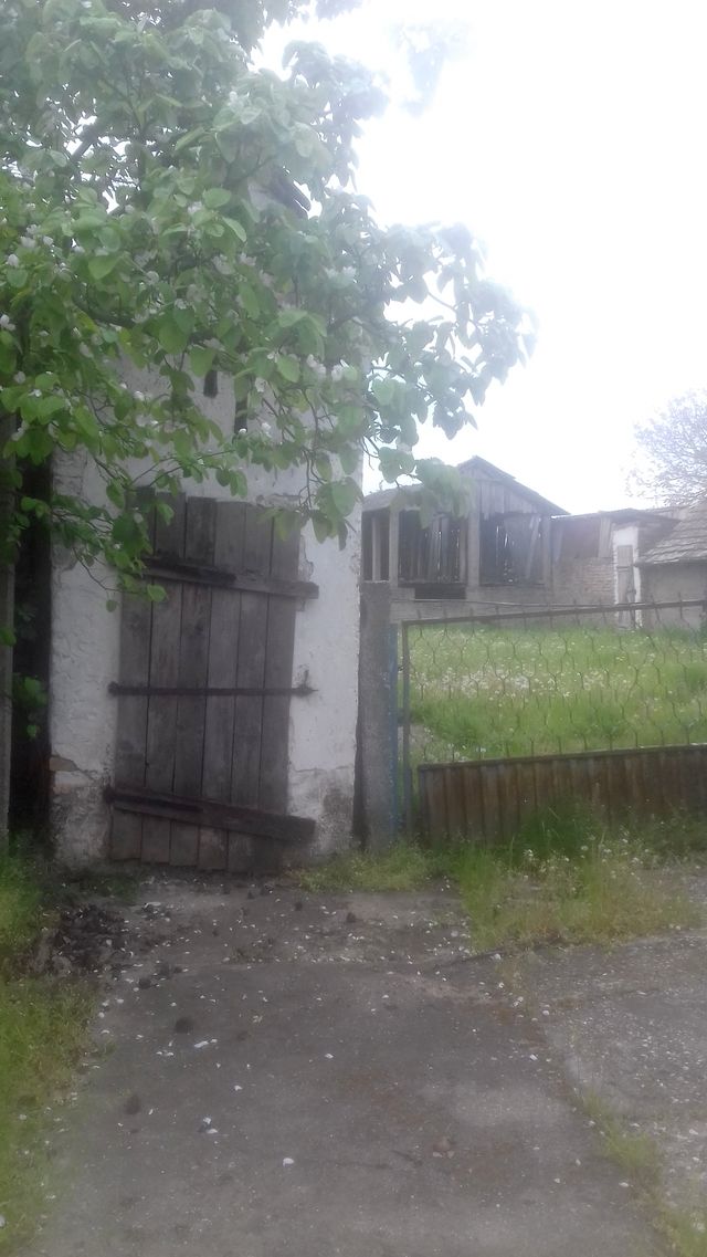 Vojvode Mišića 55, Nikinci - 10