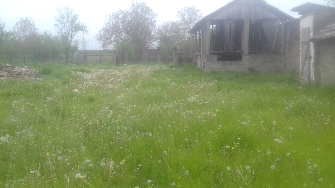 Vojvode Mišića 55, Nikinci - 7