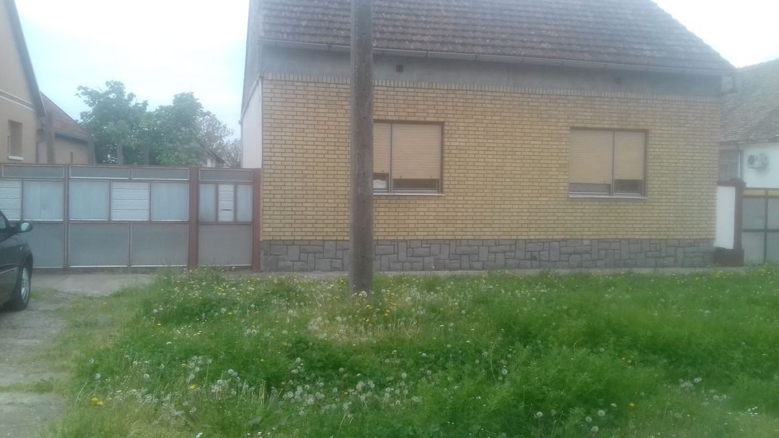 Vojvode Mišića 55, Nikinci - 3