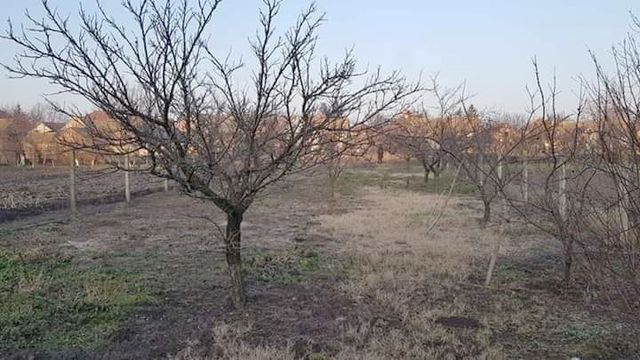 Ive Lole Ribara 24, Kljajićevo - 13