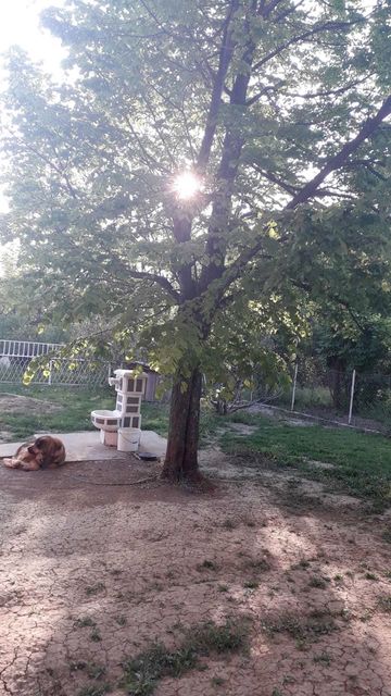 Zelenčeva 8a, Velika Moštanica - 11