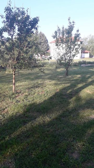 Zelenčeva 8a, Velika Moštanica - 17