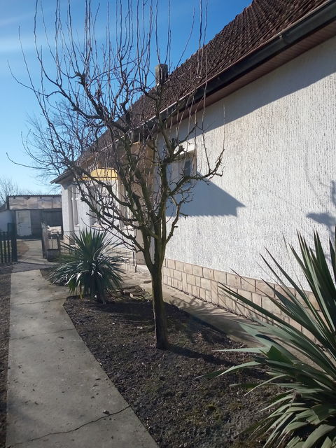 Janošikova 7, Gložan - 6