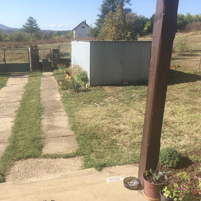 Dese Marković 38, Popović - 5