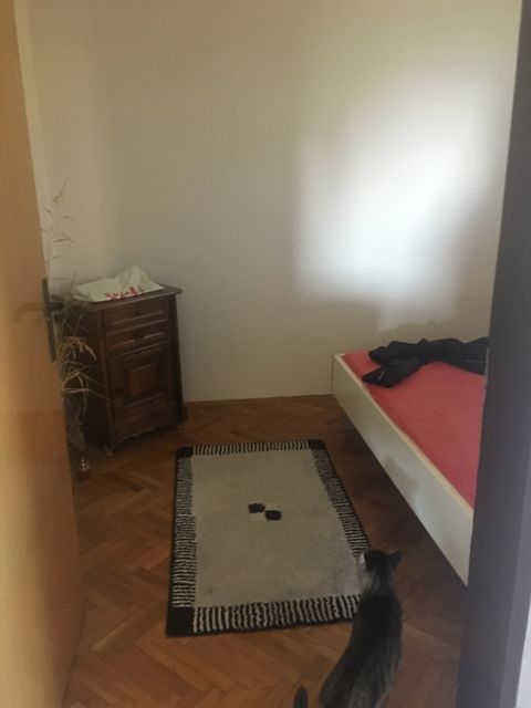 Dese Marković 38, Popović - 12