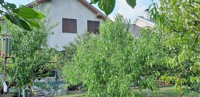 Desanke Maksimović 18, Sremska Mitrovica - 6