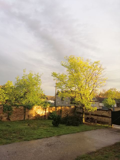 Zmaj Jovina 56, Novi Slankamen - 5