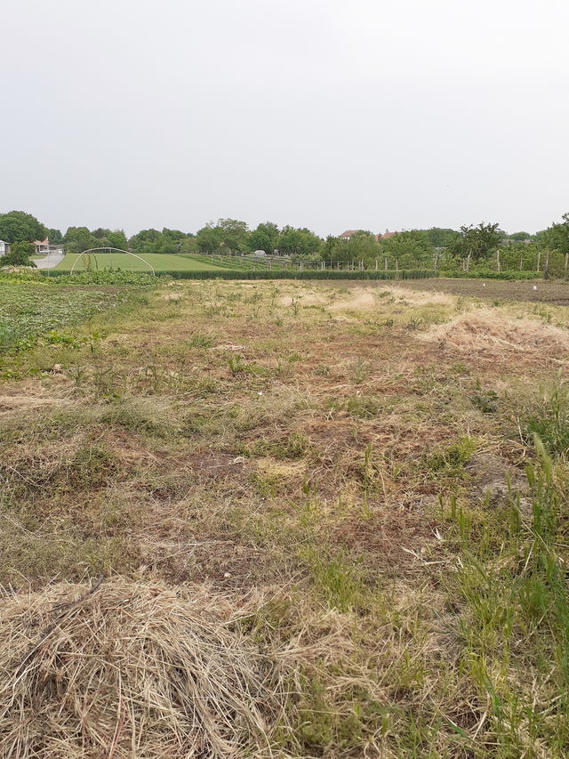 Žarka Jelića 86, Beograd - 2