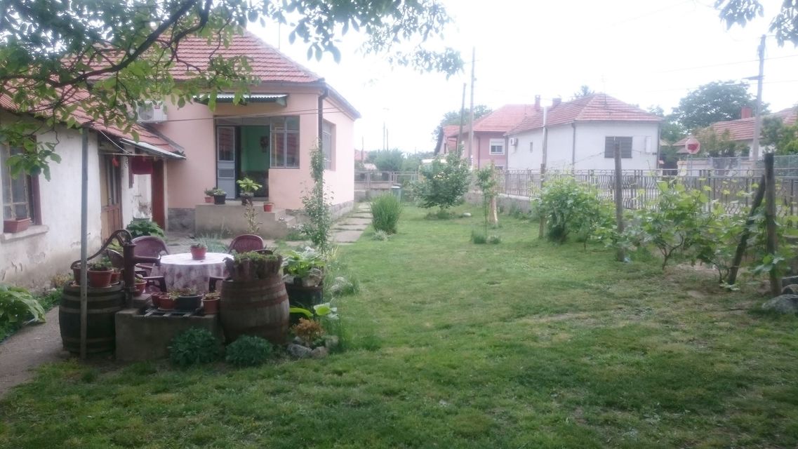 Narodnog fronta 20, Zaječar - 1