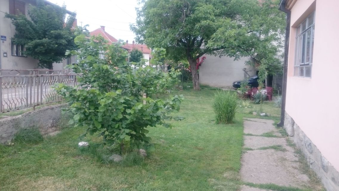 Narodnog fronta 20, Zaječar - 7