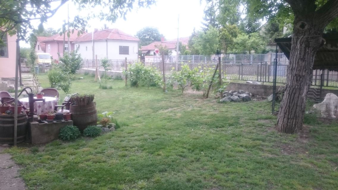 Narodnog fronta 20, Zaječar - 5