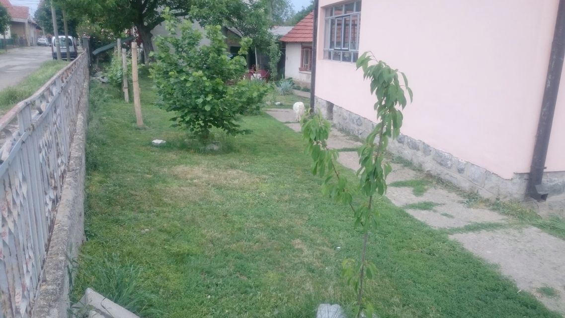 Narodnog fronta 20, Zaječar - 8