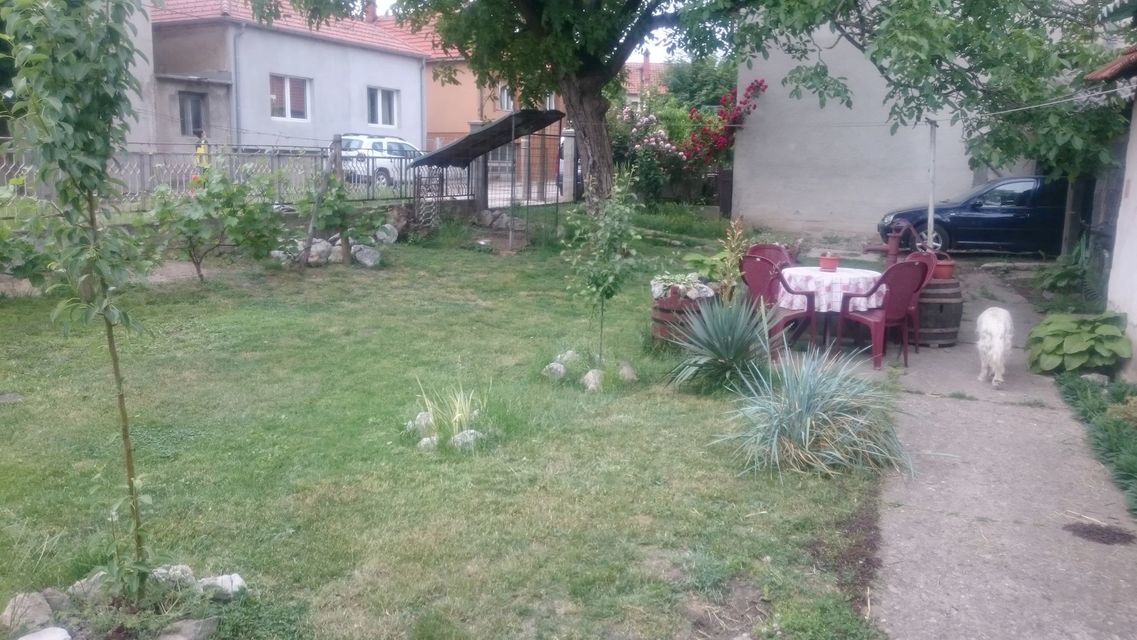 Narodnog fronta 20, Zaječar - 4