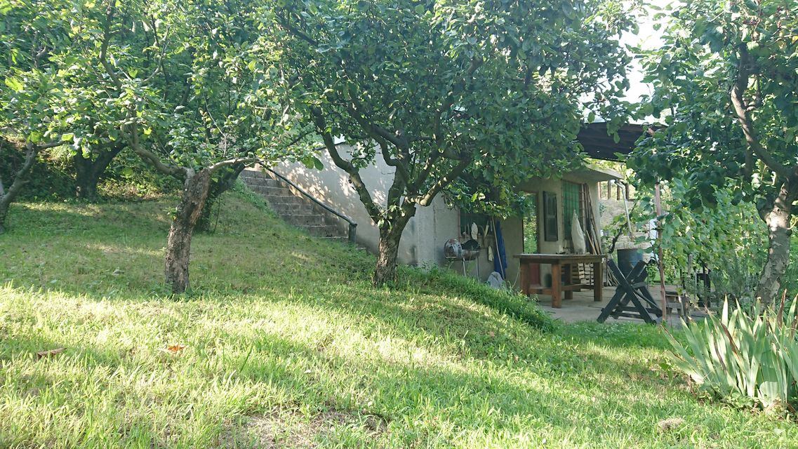 Lepe Kate bb-1, Sremska Kamenica - 10