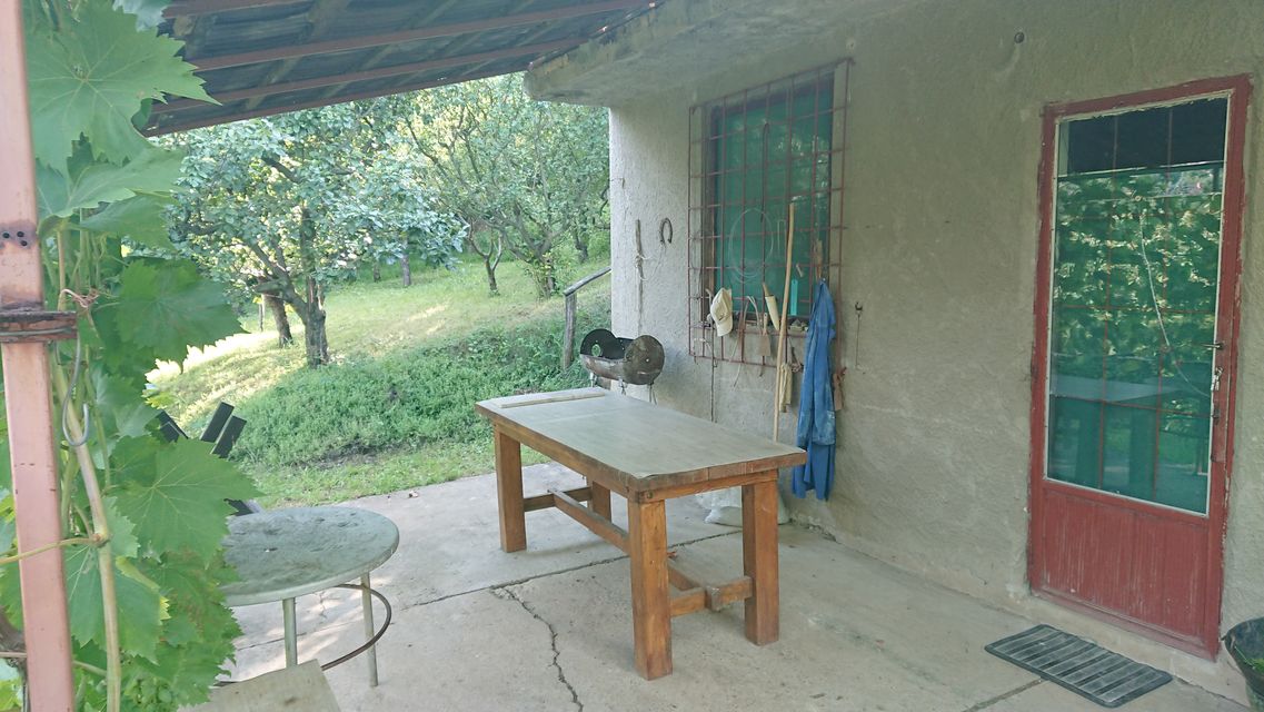 Lepe Kate bb-1, Sremska Kamenica - 1