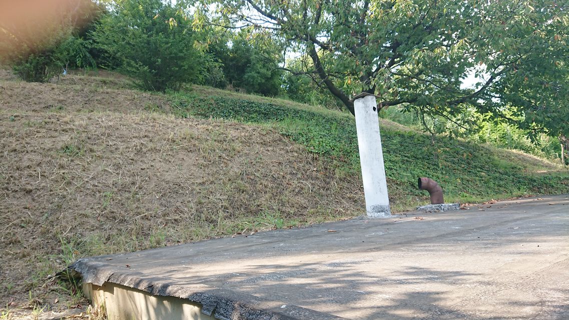 Lepe Kate bb-1, Sremska Kamenica - 4