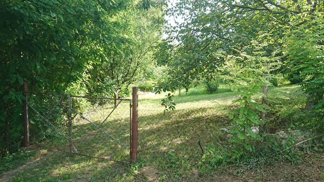 Lepe Kate bb-1, Sremska Kamenica - 8