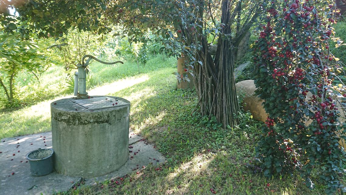 Lepe Kate bb-1, Sremska Kamenica - 5