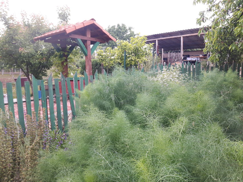 Miće Stojkovića 98, Brestovik - 7