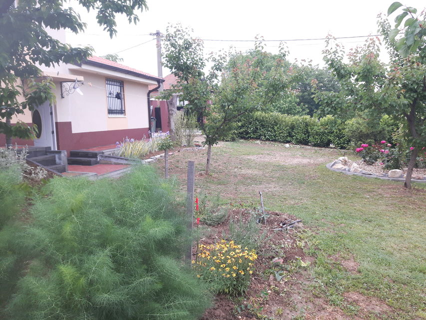 Miće Stojkovića 98, Brestovik - 5