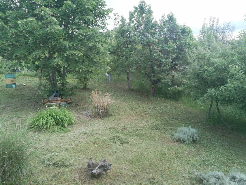 Užičke republike bb-1, Kragujevac - 5