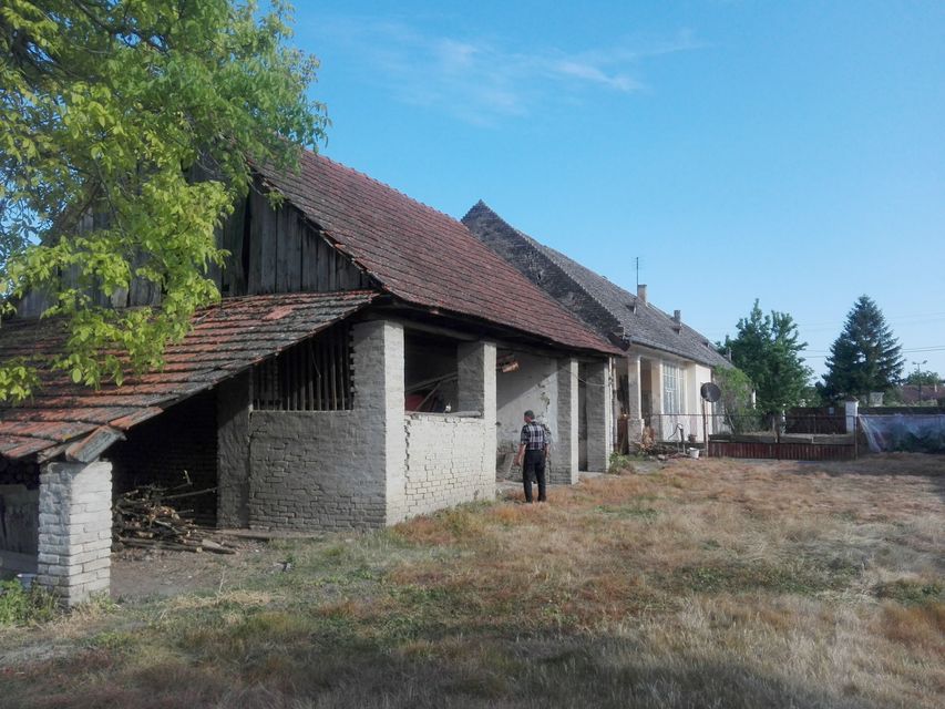 Jugoslovenska 57, Bački Breg - 5