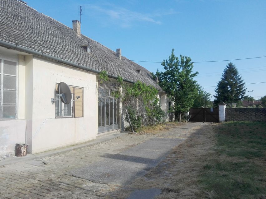 Jugoslovenska 57, Bački Breg - 3