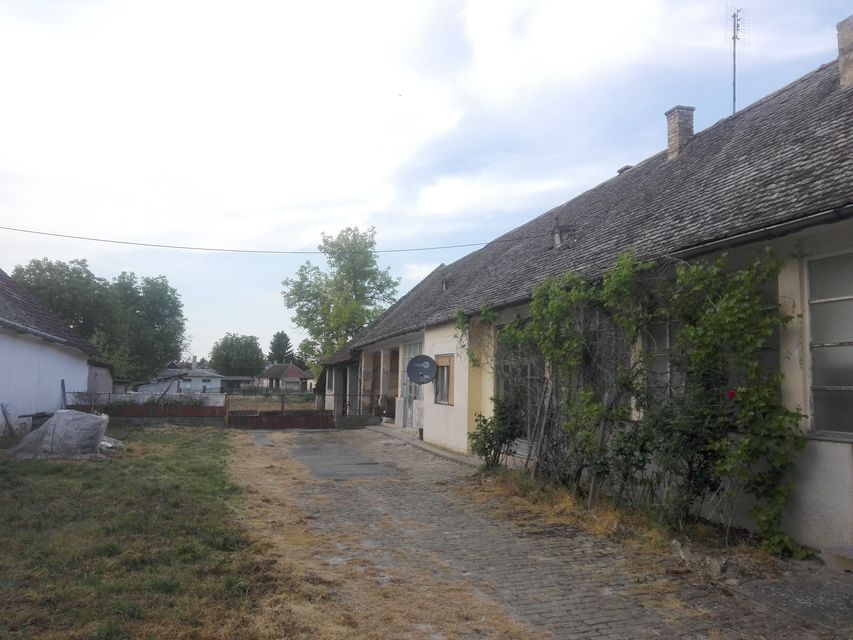 Jugoslovenska 57, Bački Breg - 2