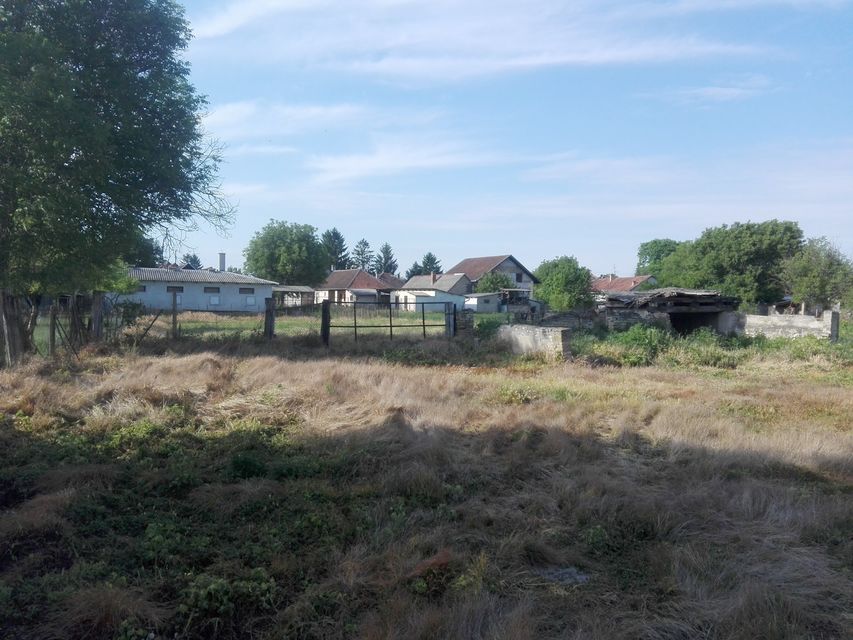 Jugoslovenska 57, Bački Breg - 6