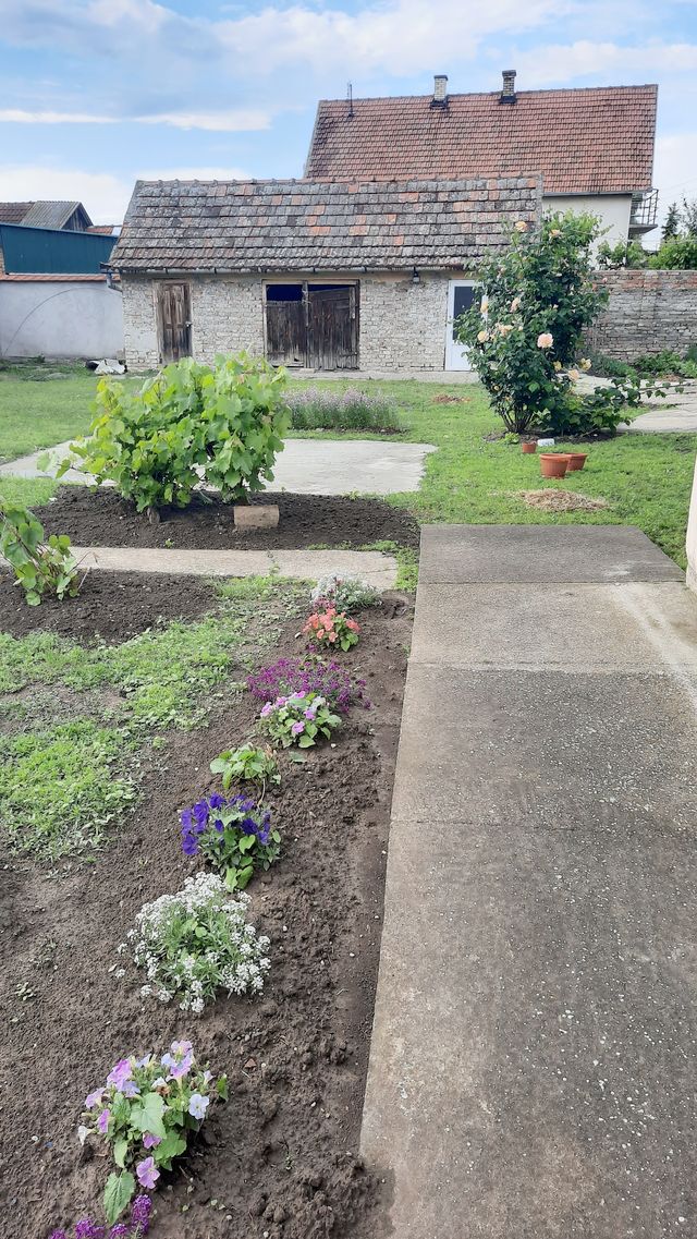 Svetozara Miletića 174, Titel - 11