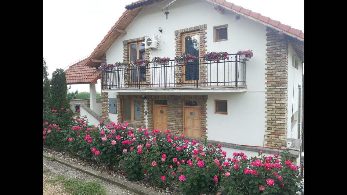 Bogdana Gavrilovića 43, Sremska Kamenica - 17